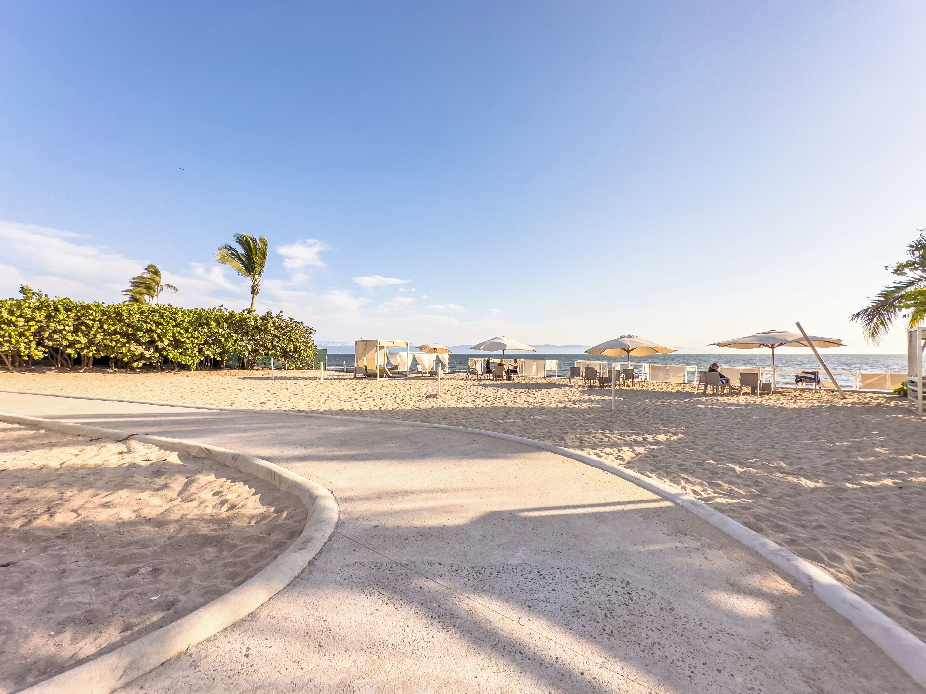 A beach with a concrete path, beach chairs, umbrellas, and a palm tree.