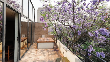 Royal Room | Terrace/patio