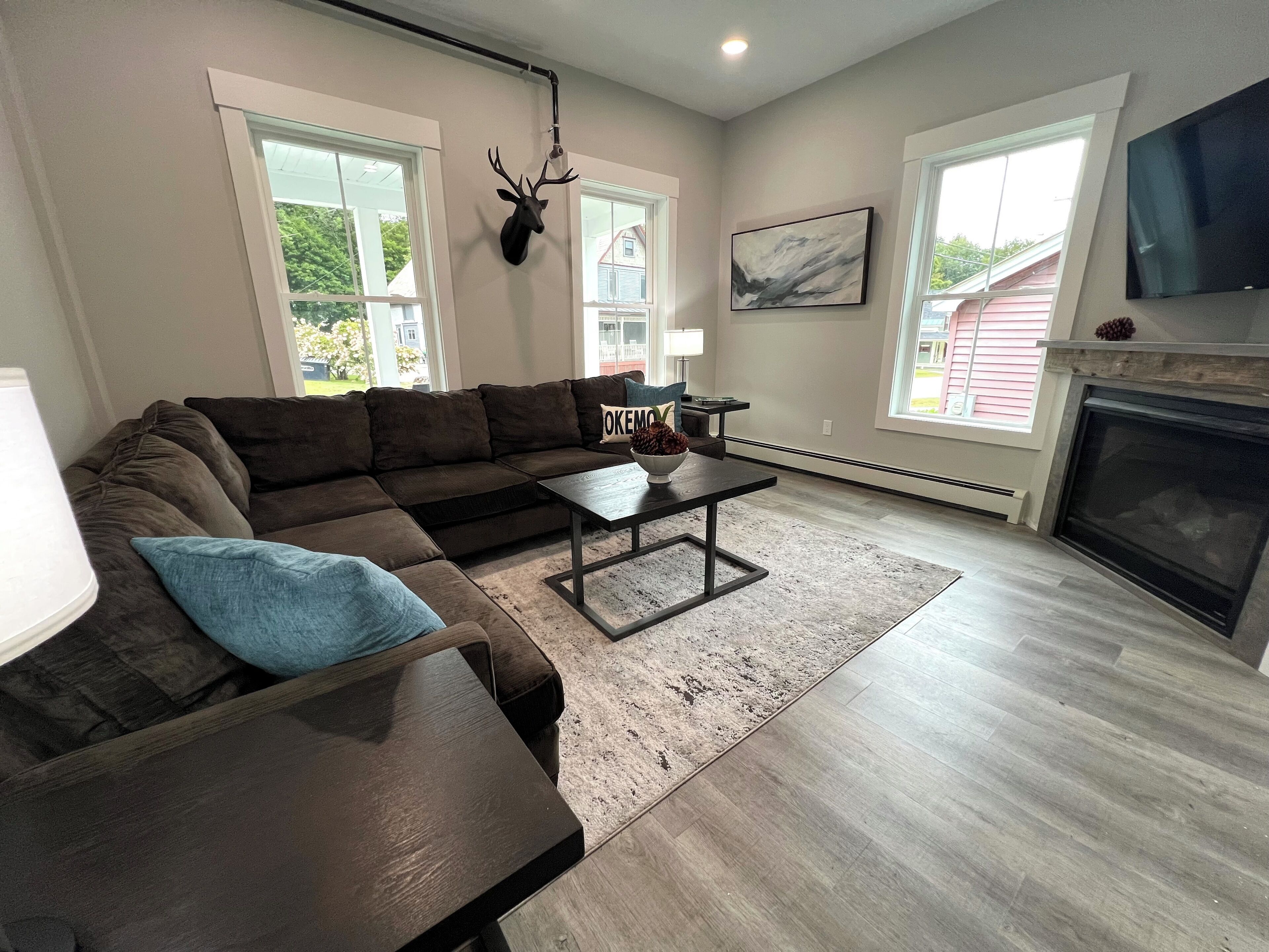 Smart TV, fireplace, books, computer monitors