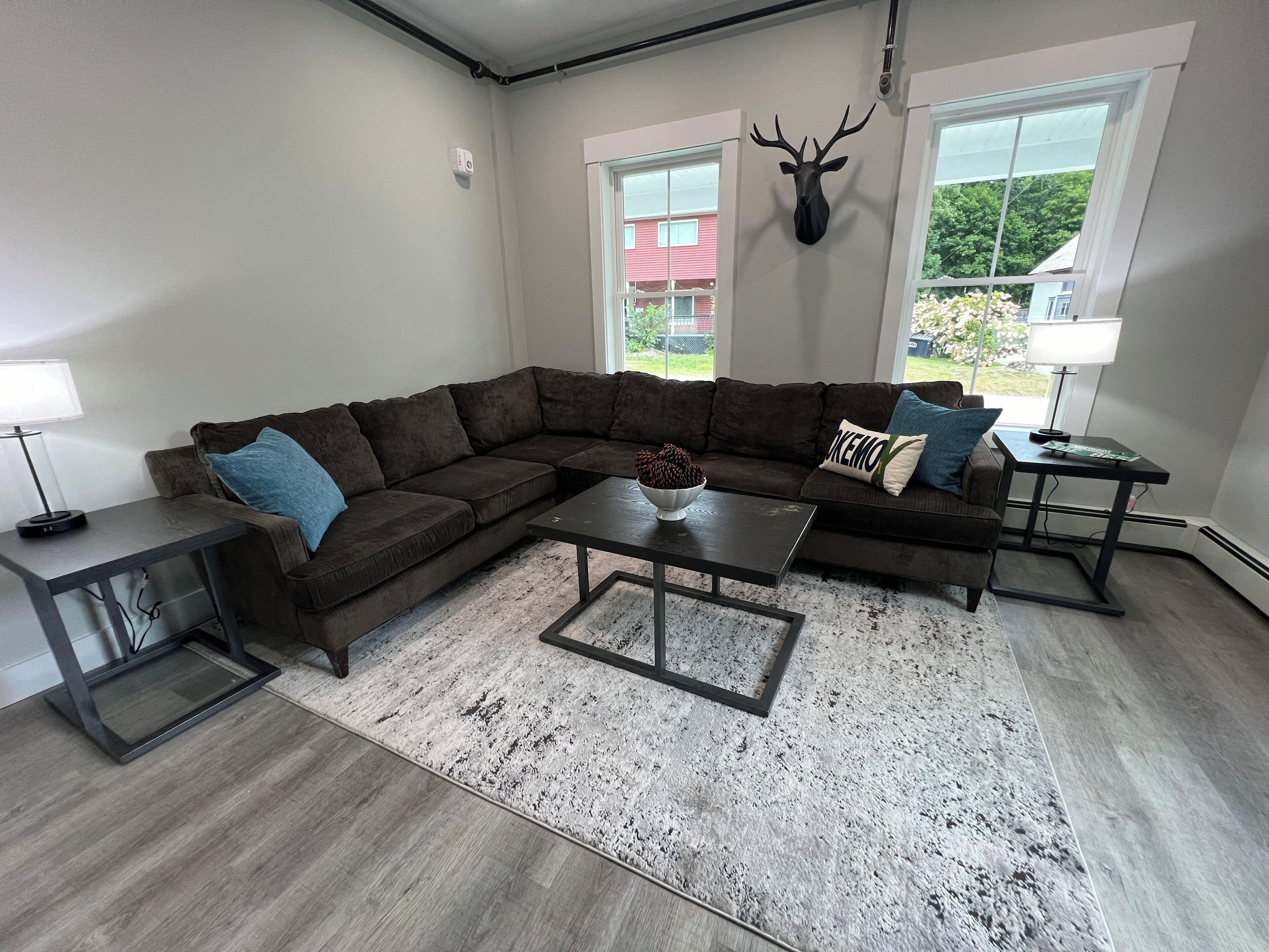 Smart TV, fireplace, books, computer monitors