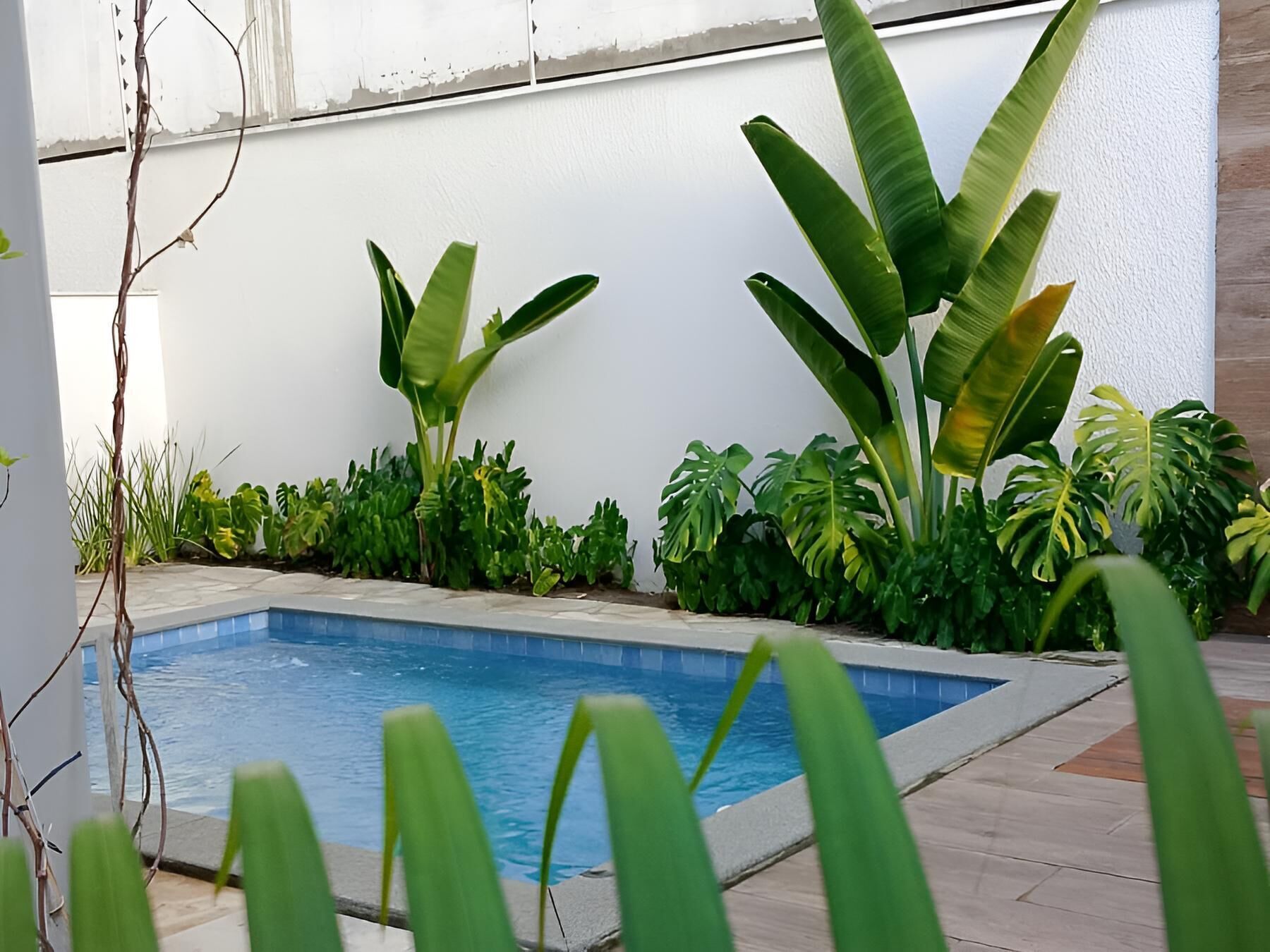 Luksushus | Terrasse/patio