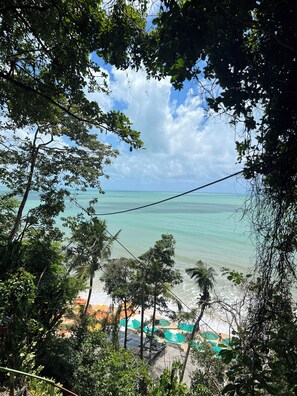 Une plage avec une eau turquoise et limpide, des palmiers et des parasols de plage.