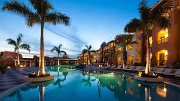 A resort pool area with palm trees and lounge chairs.
