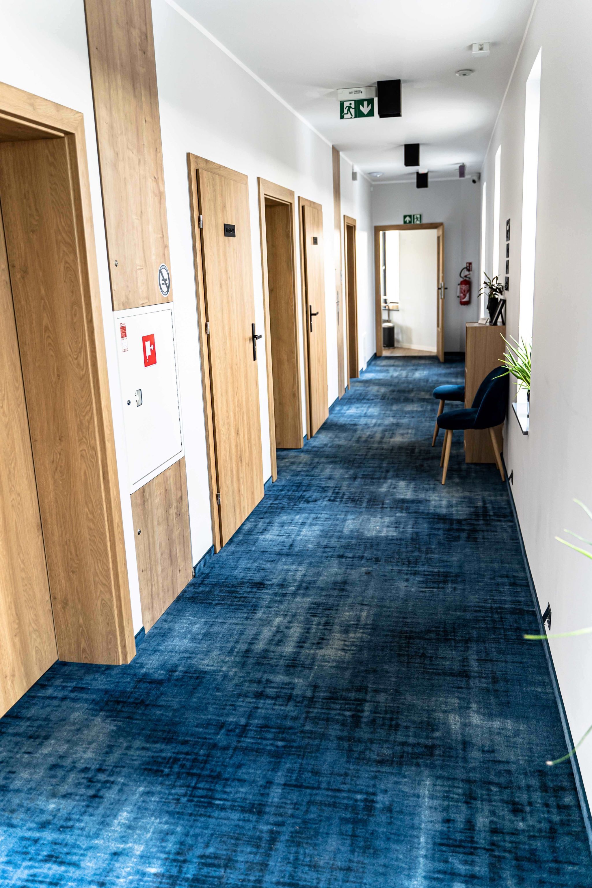 A hallway with wooden doors, a blue carpet, and a chair.