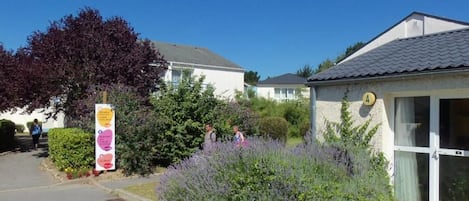 A building with a paved entrance, a signboard, and a garden with purple flowers.