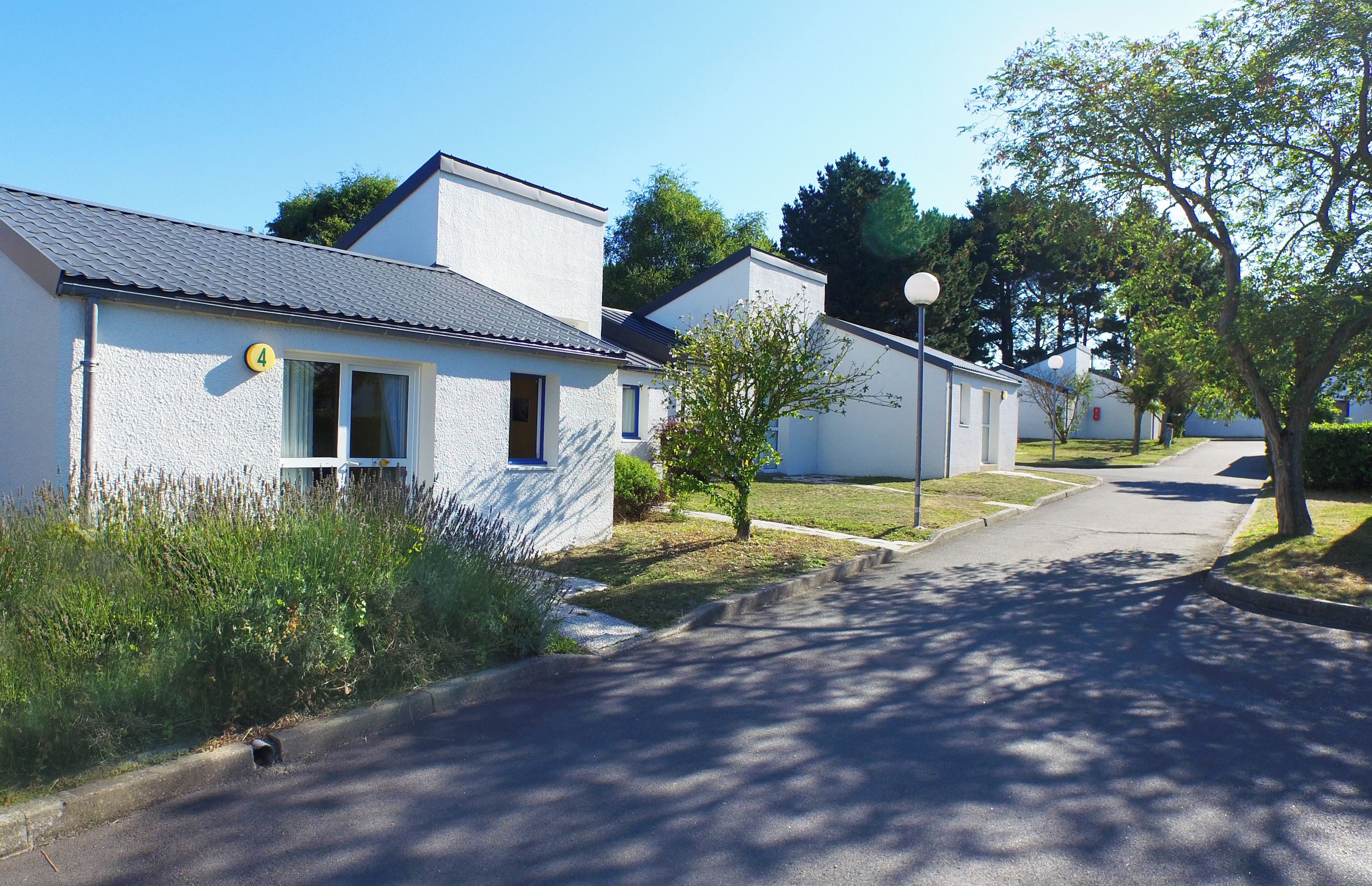 A row of white buildings with a paved road in front, a small tree, and a lamp post.