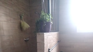 Un baño con ducha, perchero y planta en maceta.