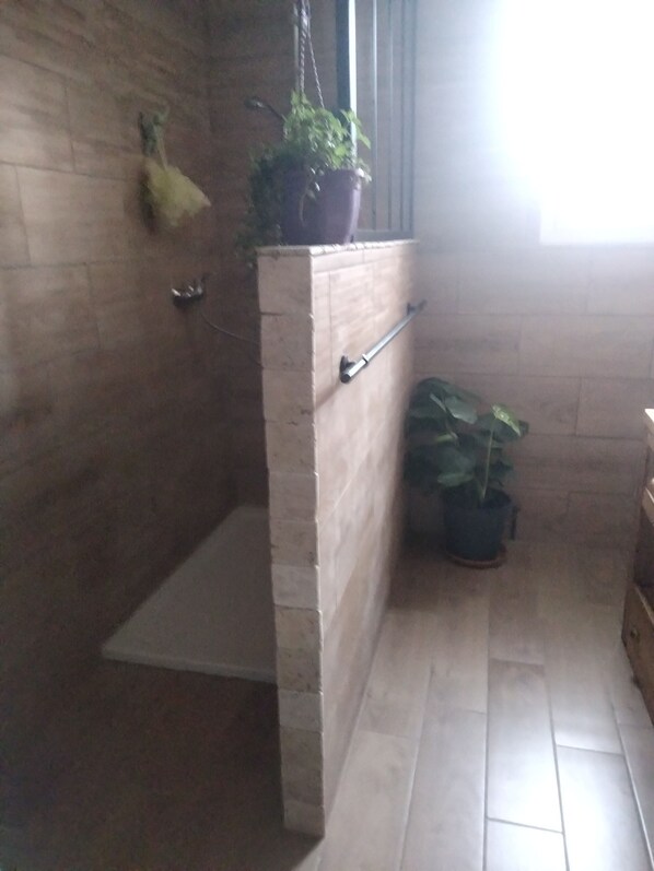 Shower, hair dryer, towels, shampoo