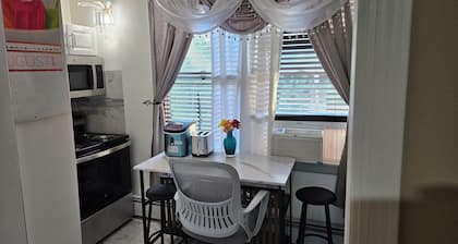 2-Large bedrooms to rent with WiFi, AC in fabulous Brooklyn NYC