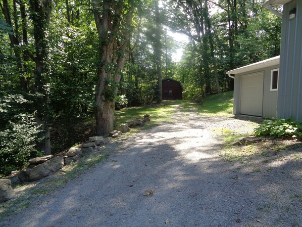 A gravel path leading to a rustic cabin surrounded by dense trees.