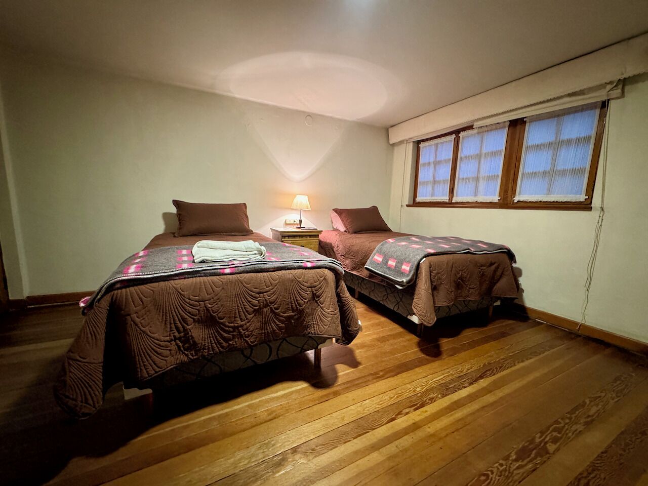 Two single beds with brown bedding, a nightstand with a lamp, and a window with curtains.