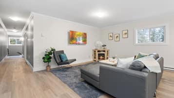 Smart-TV, Kamin