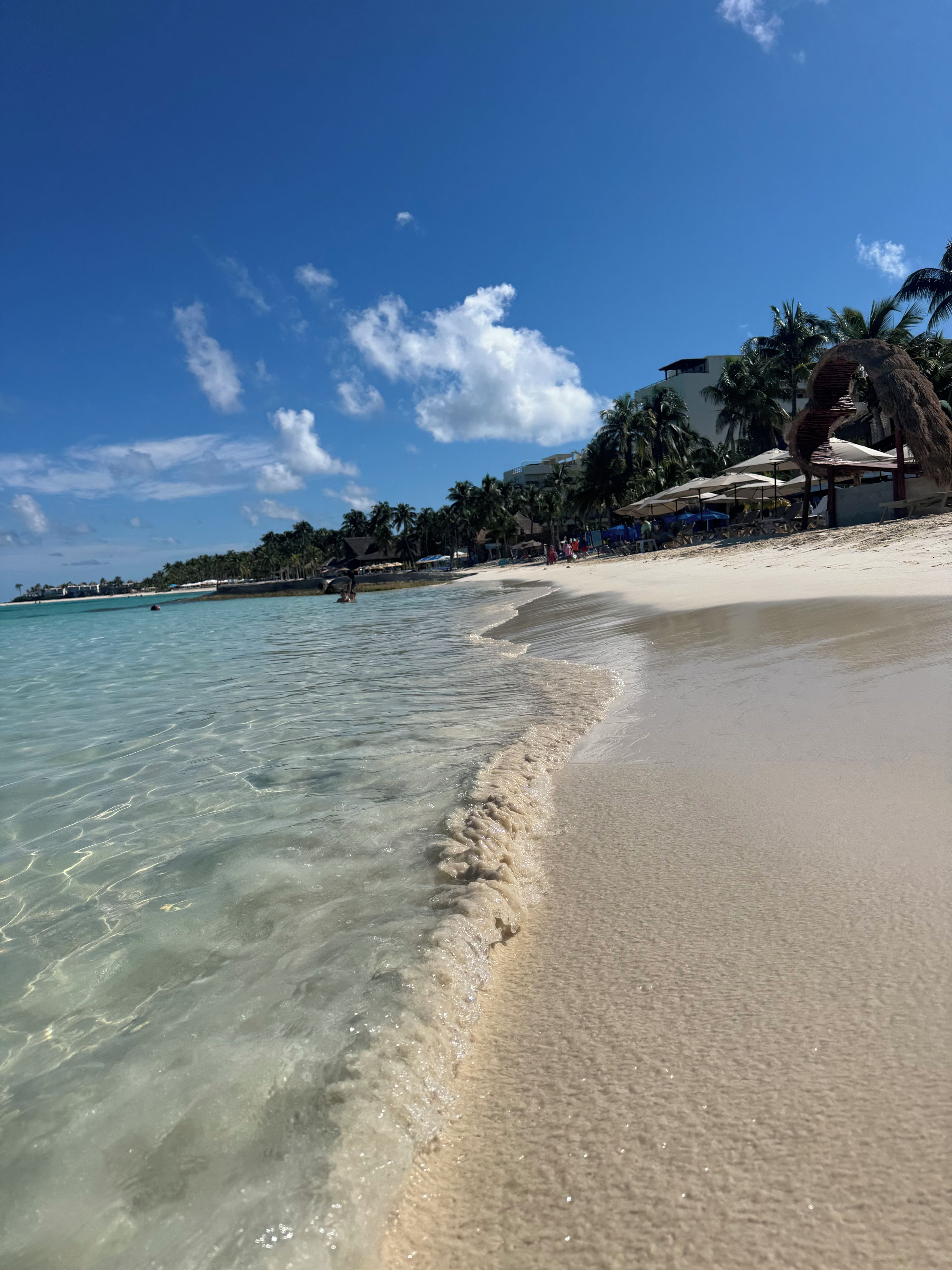 A beach with clear water, palm trees, and beach umbrellas.