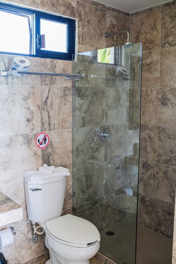 Une salle de bain avec une douche à parois de verre, des toilettes et un rouleau de papier toilette accroché au mur.