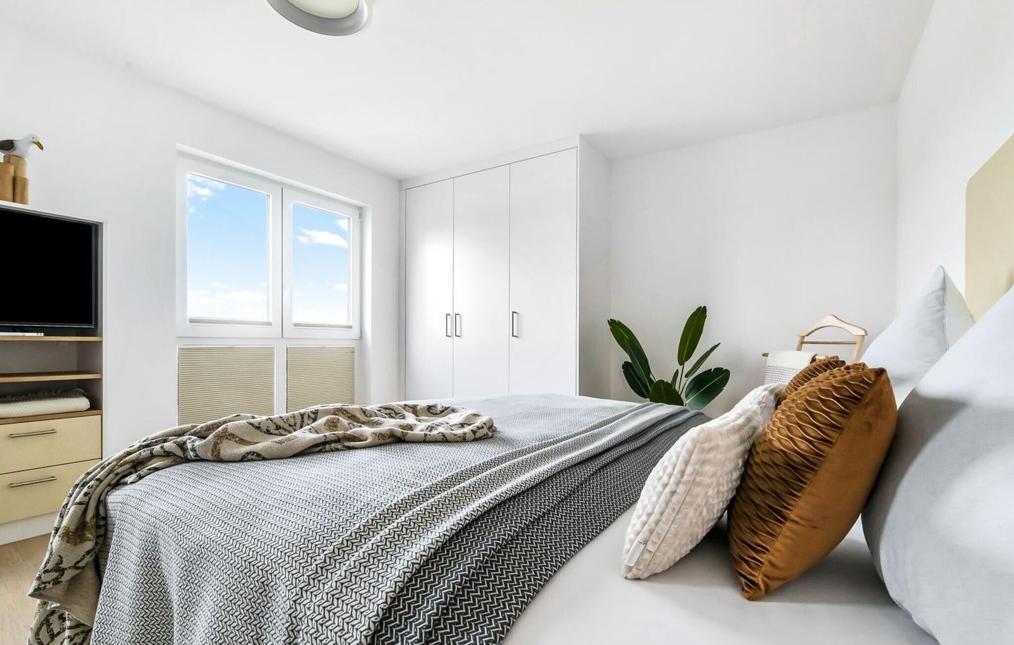 A modern bedroom with a bed, a TV, a window, and a plant.