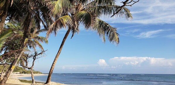 Beach - Villa Atardecer Dorado A 5 Minutos Andando a la Playa (puerto plata)