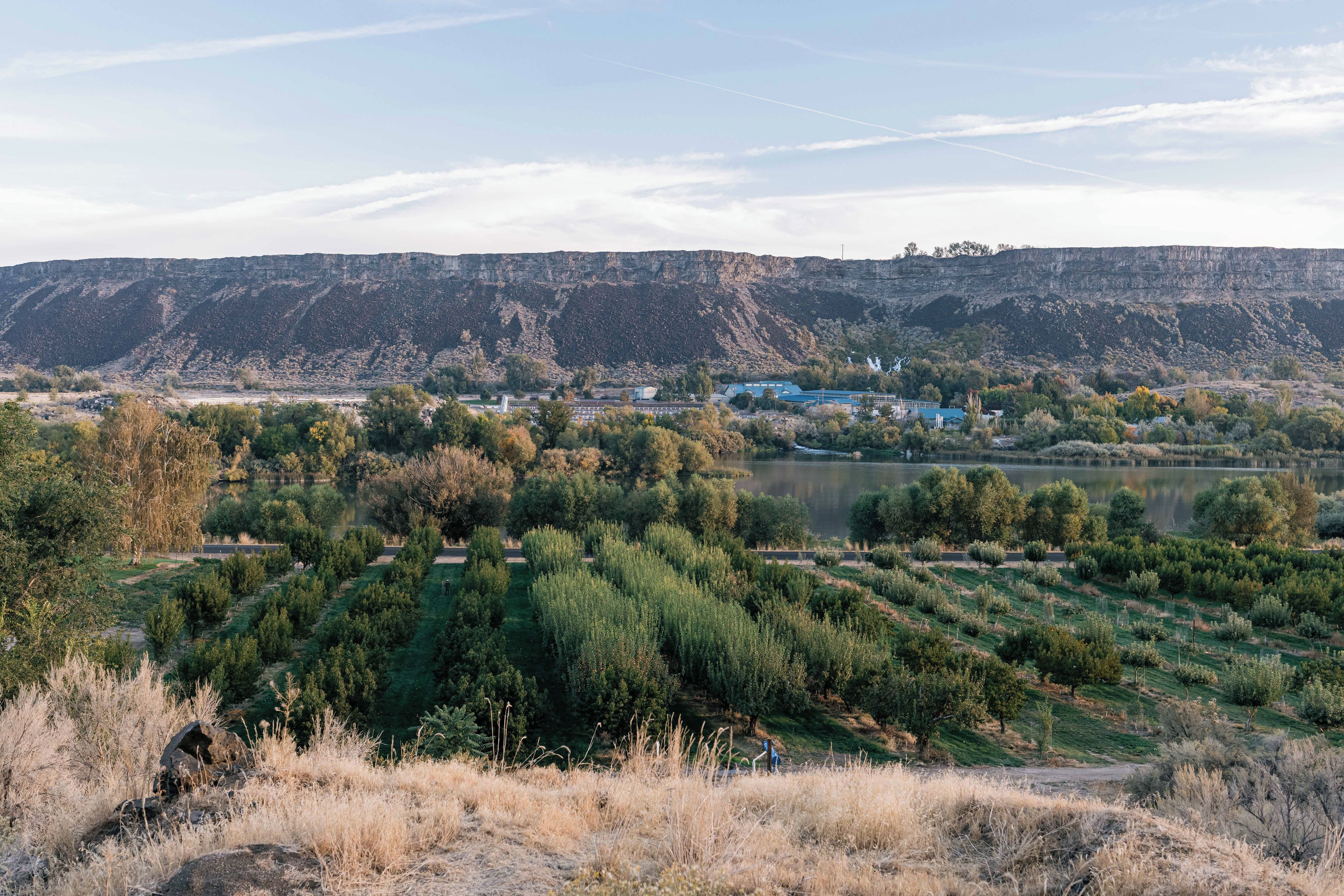 A landscape with a river, trees, and a distant mountain range.