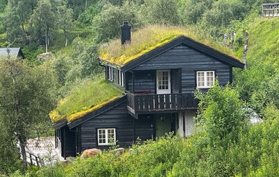 Amazing home in åseral with sauna