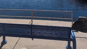 Un banc donnant sur une rivière paisible, bordée d’arbres, sous un ciel dégagé.