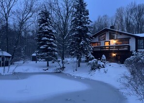 Exterior - Luxurious & Serene 2 Acre Mountain Cabin Retreat - 3 Bedrooms - Fully stocked  (Jewett)