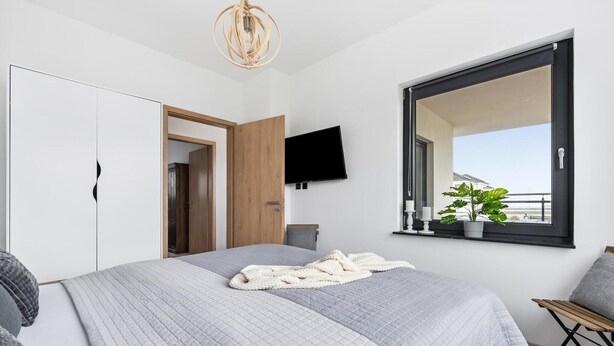 A bedroom with a bed, a TV, a potted plant, and a view of the outside.