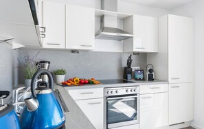 Fridge, microwave, oven, stovetop - Beach front apartment in Olpenitz (Olpenitz)
