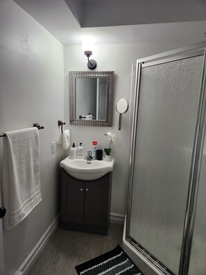 Hair dryer, towels, soap, toilet paper