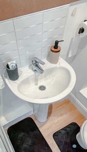 Hair dryer, towels, soap, toilet paper