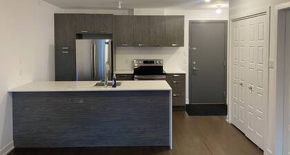 Lovely 1 bedroom condo in downtown laval