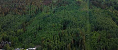 A forested mountain area with a small cluster of buildings at the base.