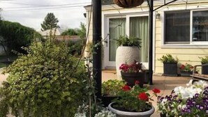 A house with a porch, potted plants, and a hanging planter. - Private Detached Cottage ~Near Downtown Phoenix! (Phoenix)