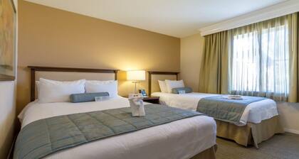 Beautiful 2 BR Condo Suite!