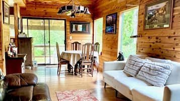 Fireplace, DVD player, books, video library