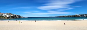 Beach - Coastal Luxury Overlooking Tamarama Beach - Views, Parking & Air Conditioning (Tamarama)