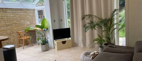 TV