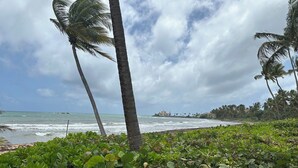 Una playa con palmeras, olas del océano y cielo nublado.