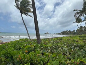 Nær stranden, solsenger og strandhåndklær