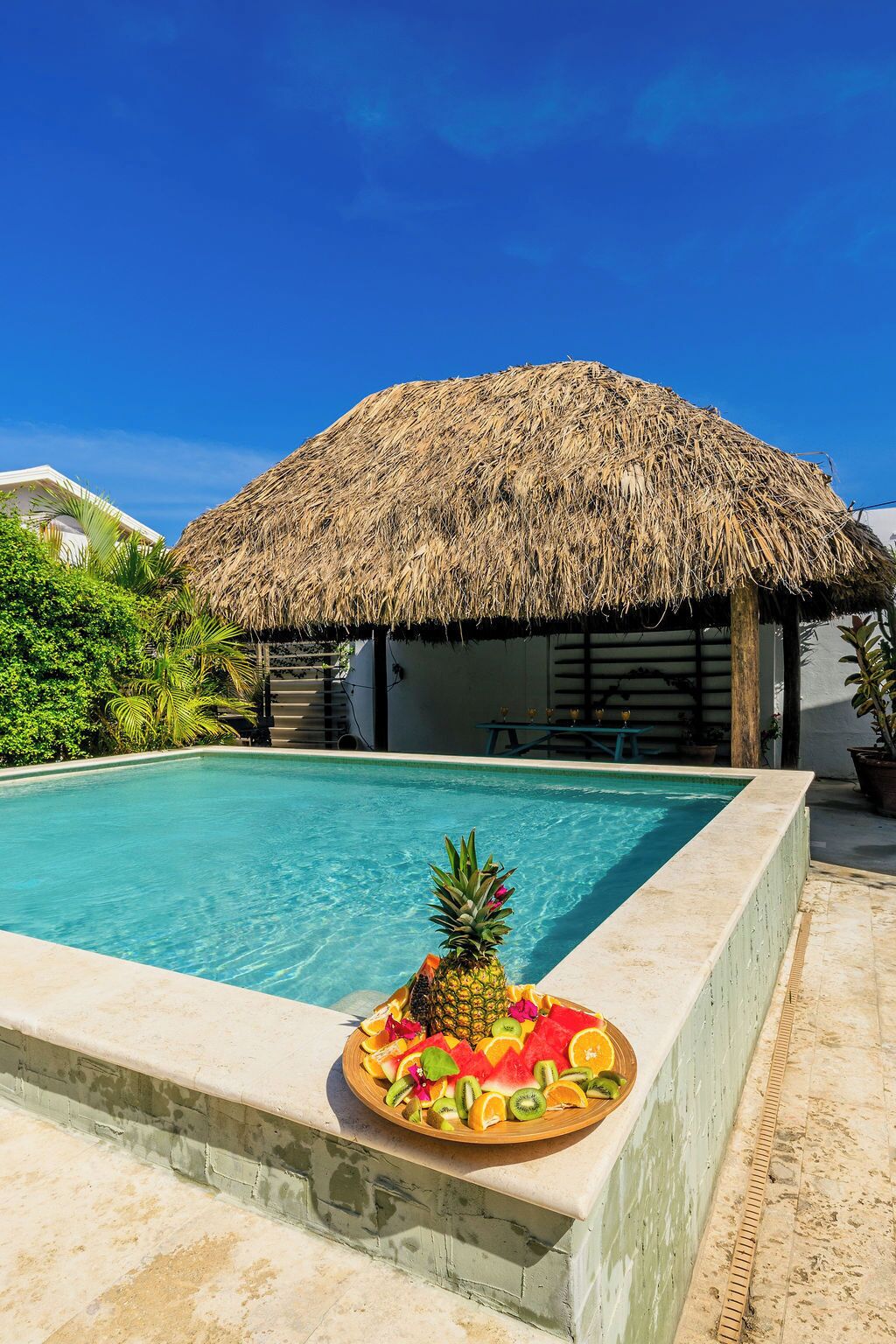 Alberca techada y alberca climatizada