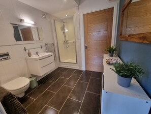 Shower, hair dryer, towels - 1-Bed Apartment - Sleeps 2 & Private Parking (Llansantffraid)