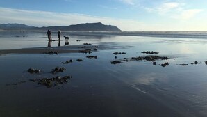 Una playa con gente, un perro, agua tranquila y montañas a lo lejos.