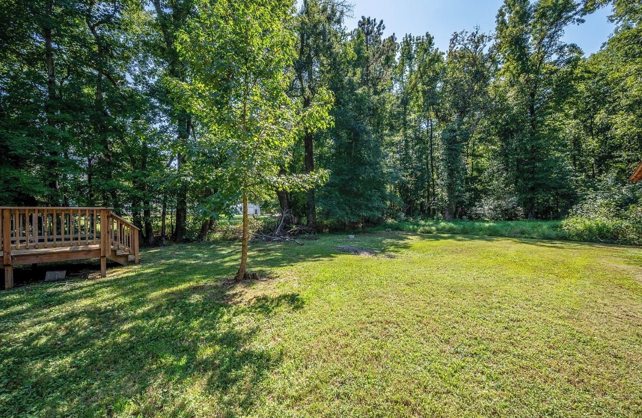 A grassy outdoor area with a wooden deck and a small tree.