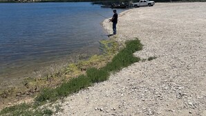 A person fishing by a calm lake with mountains in the background. - The Purple Door -FRESHLY UPGRADED AIR CONDITIONING NOW AVAILABLE- (McGill)
