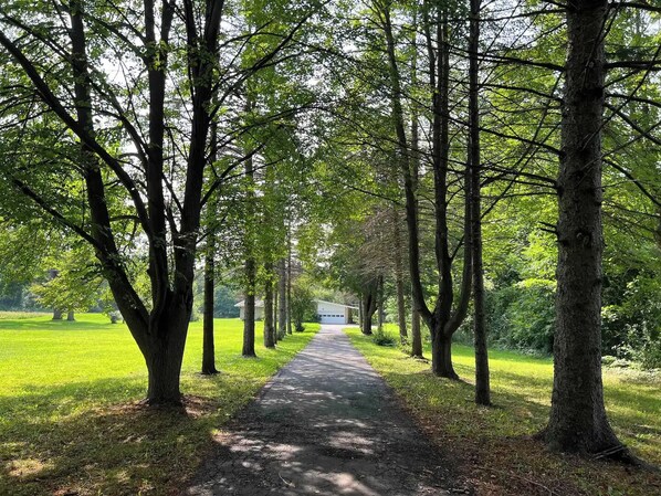 Miscellaneous - Charming farmhouse ranch - private 2 bed 1 bath - slice of home - shared spaces (Canton)