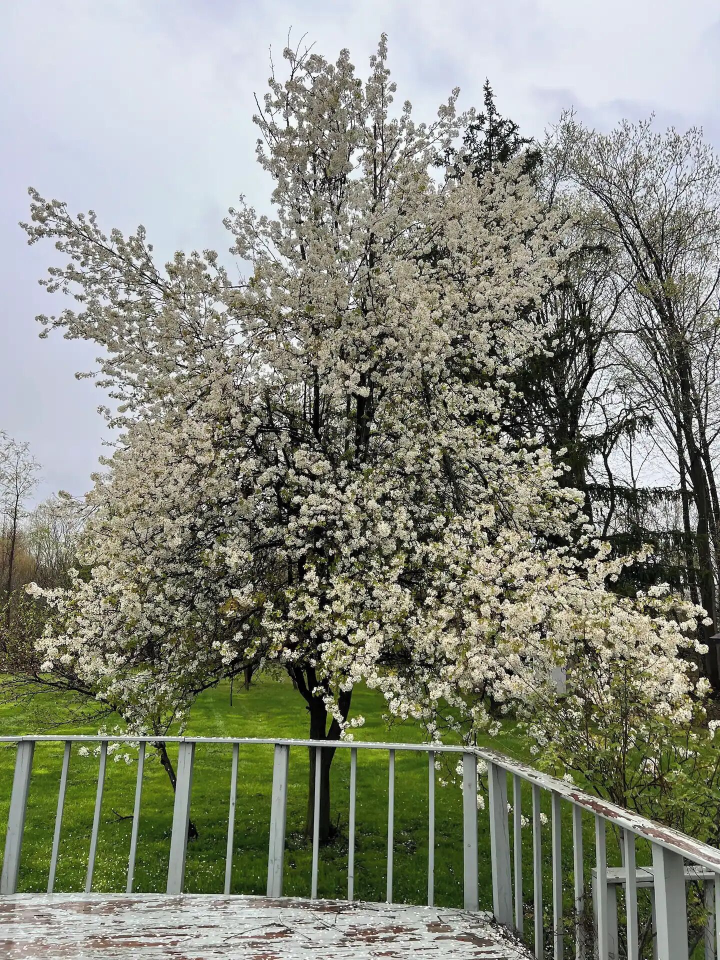 Áreas de la propiedad