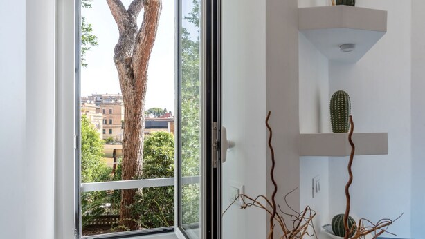 A room with a large window, a cactus on a shelf, and a tree outside. - GuestHost - Monteverde Classy Apartment (Roma)