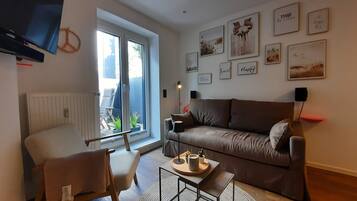 Televisio, videopelejä, DVD-soitin