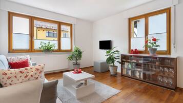Fernseher, Stereoanlage