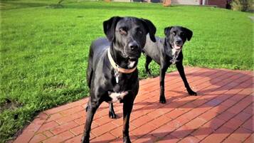 Enceinte de lâhĂ©bergement