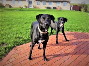 Property grounds - Apartment 'Ferienwohnung Amrum' with Terrace, Shared Garden and Wi-Fi (Dagebüll)