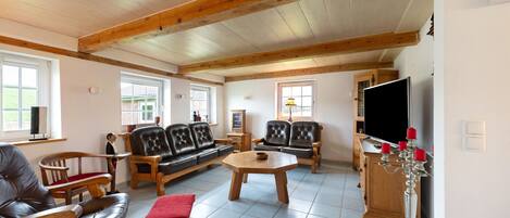 Télévision, cheminée, lecteur de DVD, chaîne hi-fi